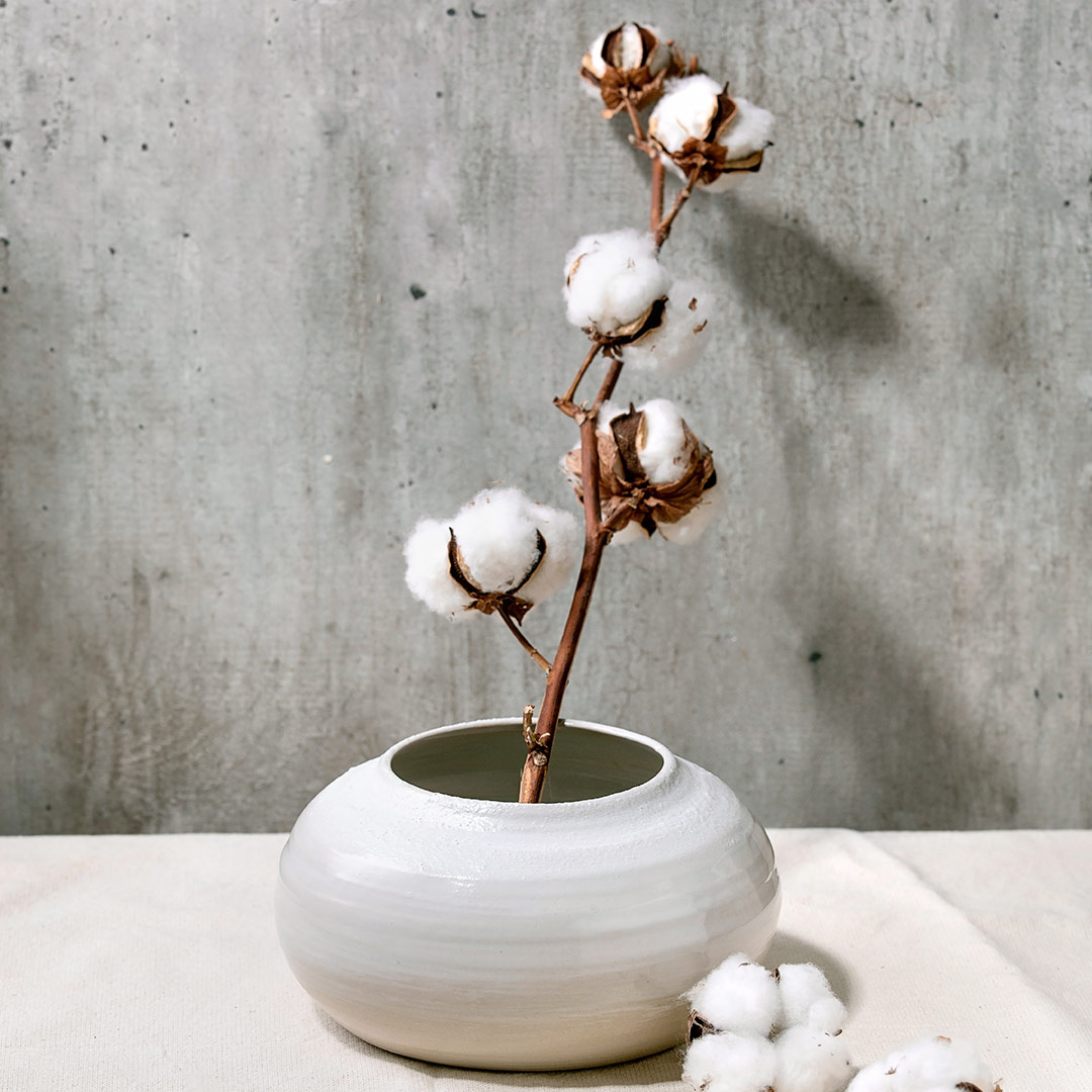 vase-with-cotton-flowers-2021-08-30-06-15-56-utc